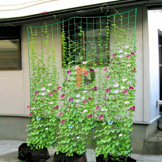 Lưới giàn leo theo kích thước khách đặt