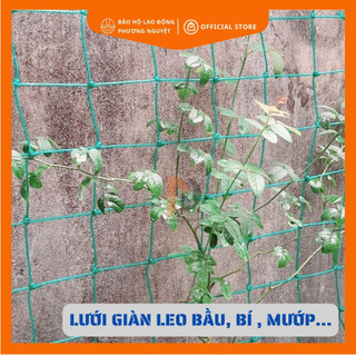 Lưới giàn leo sân vườn, lưới giàn cây chất liệu HDPE siêu nhẹ nhiều kích thước ( khổ lưới 2m,3m,4m,5m,6m)