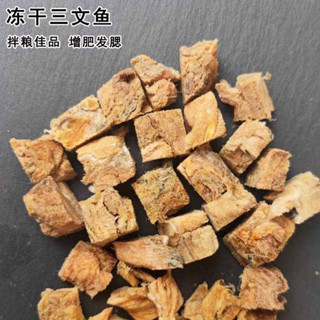  CÁ HỒI VIÊN 100g 