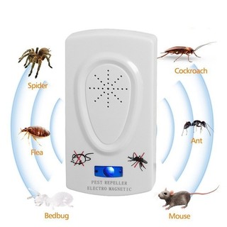 Máy đuổi côn trùng ruồi, muỗi, kiến, gián, chuột