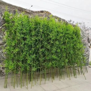 Combo 20 cây trúc giả trang trí decor