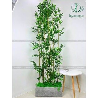 Combo 20 cây trúc giả trang trí decor