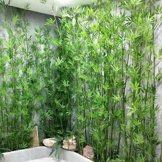 Combo 20 cây trúc giả trang trí decor