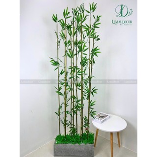 Combo 20 cây trúc giả trang trí decor