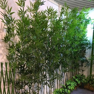 Combo 20 cây trúc giả trang trí decor