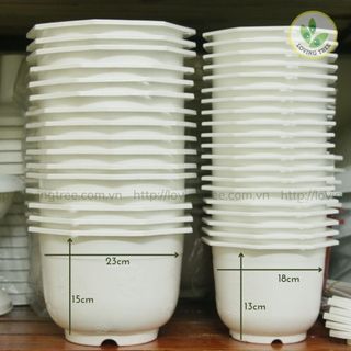 Chậu nhựa treo trồng cây 2 cỡ thông dụng (kèm dây treo chắc chắn)