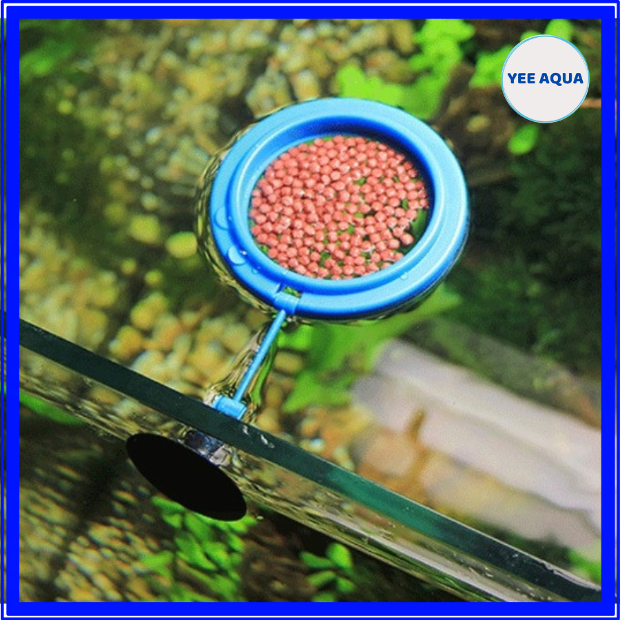 Vòng Giữ Thức Ăn Nổi Cho Cá Cảnh Hình Tròn Vuông Gom Thức Ăn