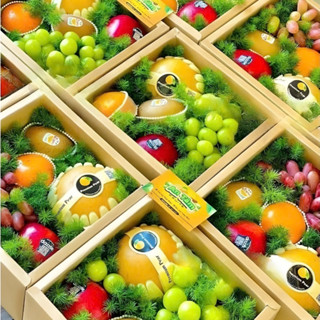 Túi hộp đựng trái cây rẻ đẹp, không đụng hàng