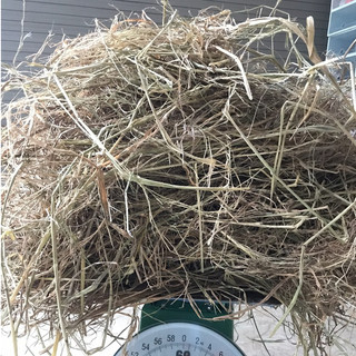 1kg Rơm Khô - Làm ổ cho pet, làm đồ decor nhà cửa, trồng rau/cây cảnh và ti tỉ công dụng khác