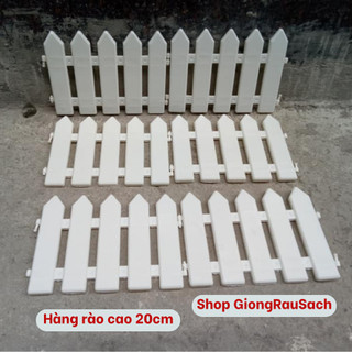 Hàng rào nhựa lắp ghép trắng cao cấp trang trí cây thông noel, vườn hoa cây cảnh cao 20 - 30cm dài 1.55m Ảnh Chụp Thật