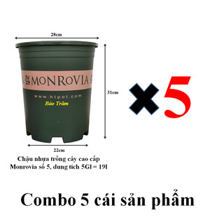 Set 5 chậu nhựa trồng cây Monrovia cỡ số 5