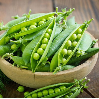 Hạt giống Đậu Hà Lan thu hạt xanh hoặc ăn quả Rado_10g