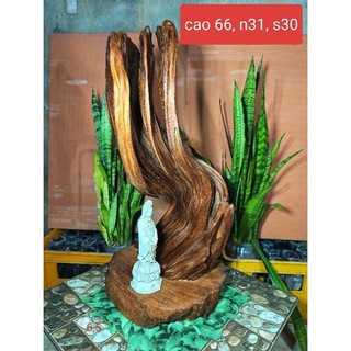 Lũa ngọc am đỏ hà giang
