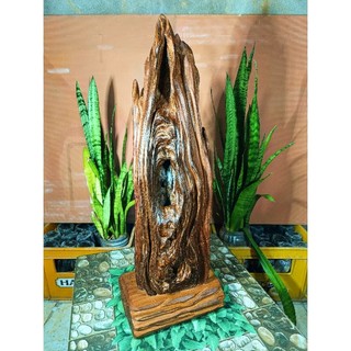 lũa gỗ thơm ngọc am hà giang