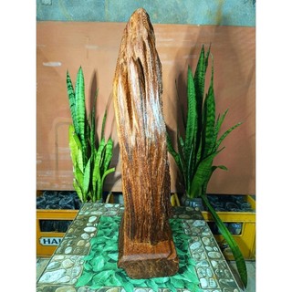 lũa gỗ thơm ngọc am hà giang