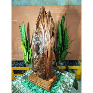 lũa gỗ thơm ngọc am hà giang