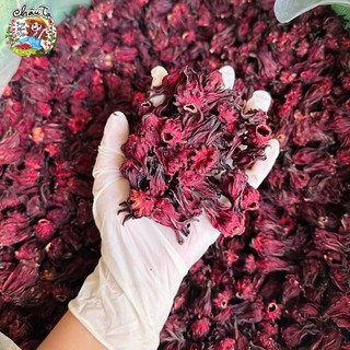 Hoa atiso đỏ khô (Hibiscus, bụp giấm) hạ huyết áp, ngủ ngon