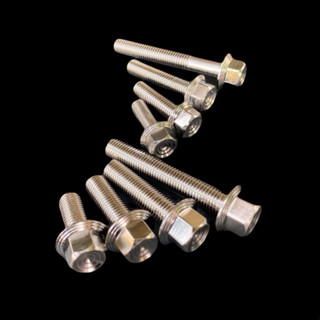 Ốc Salaya Thái 8ly đến 10ly trụ đủ size