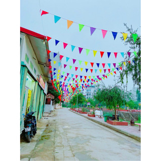 10M DÂY CỜ ĐUÔI NHEO TRANG TRÍ
