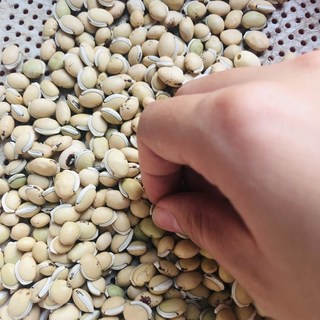 1kg ĐẬU VÁN TRẮNG - hạt trắng, đẹp
