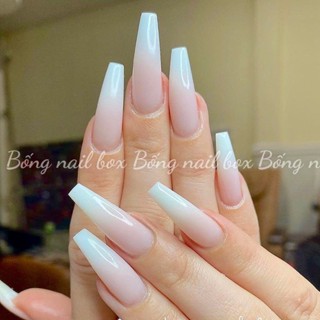  Nail box thiết kế móng úp ombre trắng   HOẢ TỐC HCM   B332 