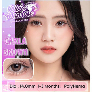 Lens Mắt Carta Nâu Giãn tròng Có Cận Từ 0 - 7 Độ( kèm khay Gương full dụng cụ đựng lens )
