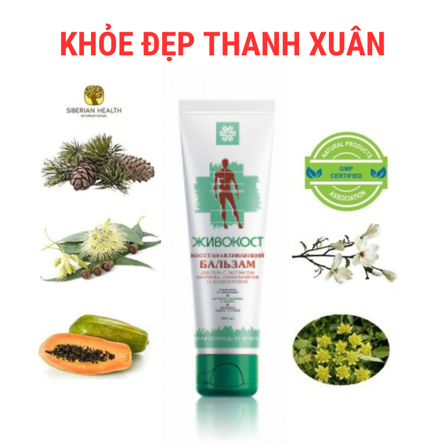[Gel xoa khớp] Kem chăm sóc da SIBERIAN WELLNESS – 100 ml/tuýp