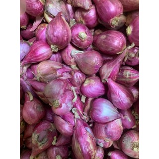 Hành tím lý sơn loại 1
