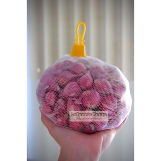 Hành tím lý sơn loại 1