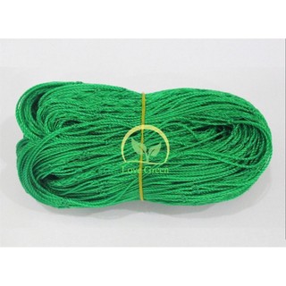 Lưới Giàn Dây Leo Rosa 2X3M