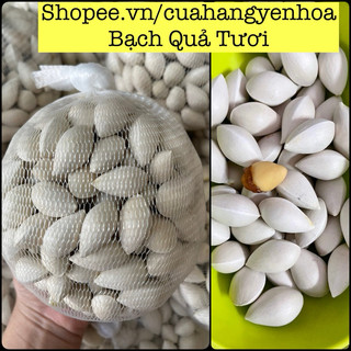 500g/1Kg BẠCH QUẢ TƯƠI - Đựng Trong Túi Lưới