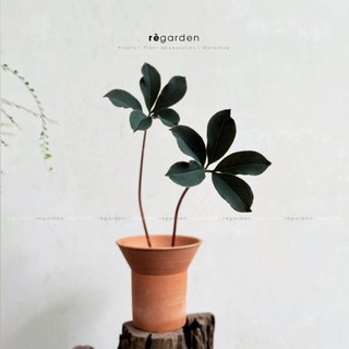 Chậu trồng cây trồng sen đá, chậu đất nung thoát nước tốt, kiểu dáng vintage