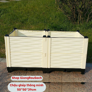 Chậu lắp ghép trồng rau trồng cây thông minh tai nhà dài 100cm rộng 50cm cao 39cm và chậu80x40x39cm