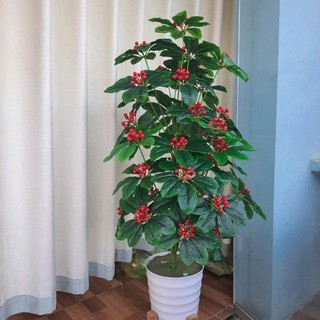 Cây giả cao cấp- cây kim ngân lượng cao 1.3M, cây cherry decor siêu xinh ạ