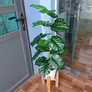 Cây giả - Cây trầu bà lá sọc, cây trầu bà sọc vàng mẫu mới cao cấp