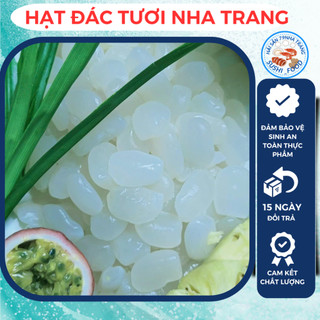 Hạt Đác Nha Trang Lựa Dẻo Ngon Không Cứng, hạt đác tươi đặc sản nổi tiếng 79Nha Trang, đác tươi 500gr/1kg