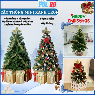 Hỏa tốc HCM Cây thông noel mini để bàn 120CM 1M2 XANH TRƠN decor trang trí giáng sinh LP-TNQC-4