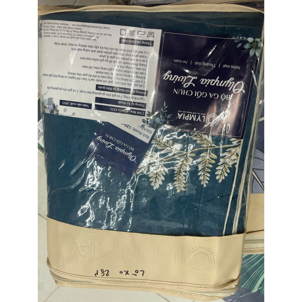 Ga gối chun Olympia living