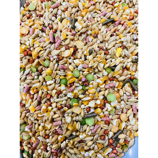 Ngũ cốc dinh dưỡng (1kg), dành cho gà tơ, gà đá, phát triển cơ bắp.