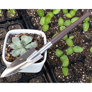 Bộ dụng cụ mini làm vườn 3 món