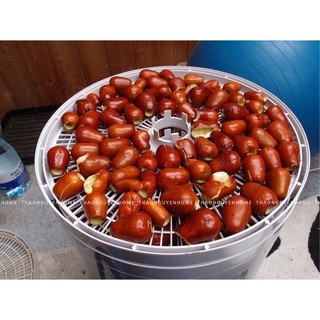 Táo đỏ (hồng táo) chắc quả thơm phức mật táo