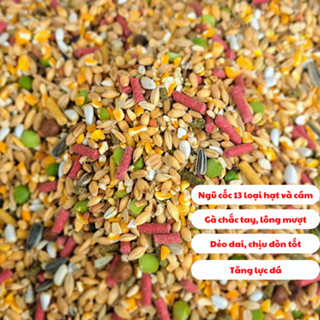 Ngũ cốc cho gà đá, gà nòi gà che ăn gà dẻo dai, sung khỏe nhanh tăng bo, chắc tay đóng túi 1kg