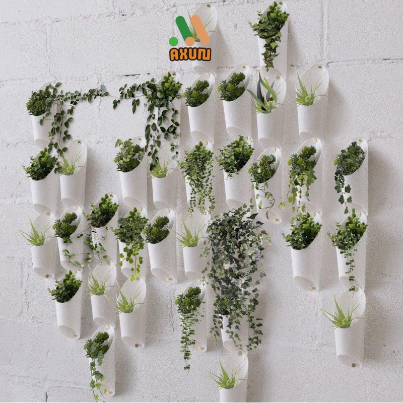 Chậu nhựa ốp tường size 9x15cm nhiều màu chậu treo tường nội thất phòng tắm ban công