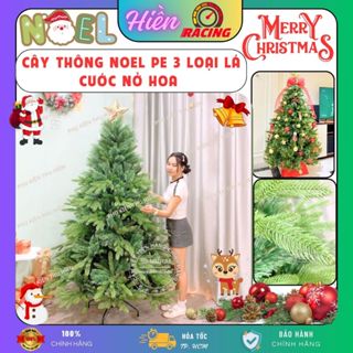 Cây thông noel 1m5,2M,2M4 PE 3 LOẠI LÁ CƯỚC NỞ HOA -CÂY TỰ ĐỘNG trang trí phòng khách mùa giáng sinh