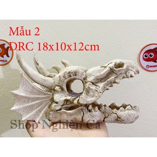 ĐẦU RỒNG LỬA  - ĐẦU XƯƠNG KHỦNG LONG TRANG TRÍ