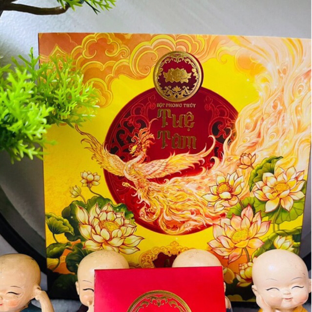 (30 gói - nửa hộp) Bột Phong Thuỷ Tuệ Tâm