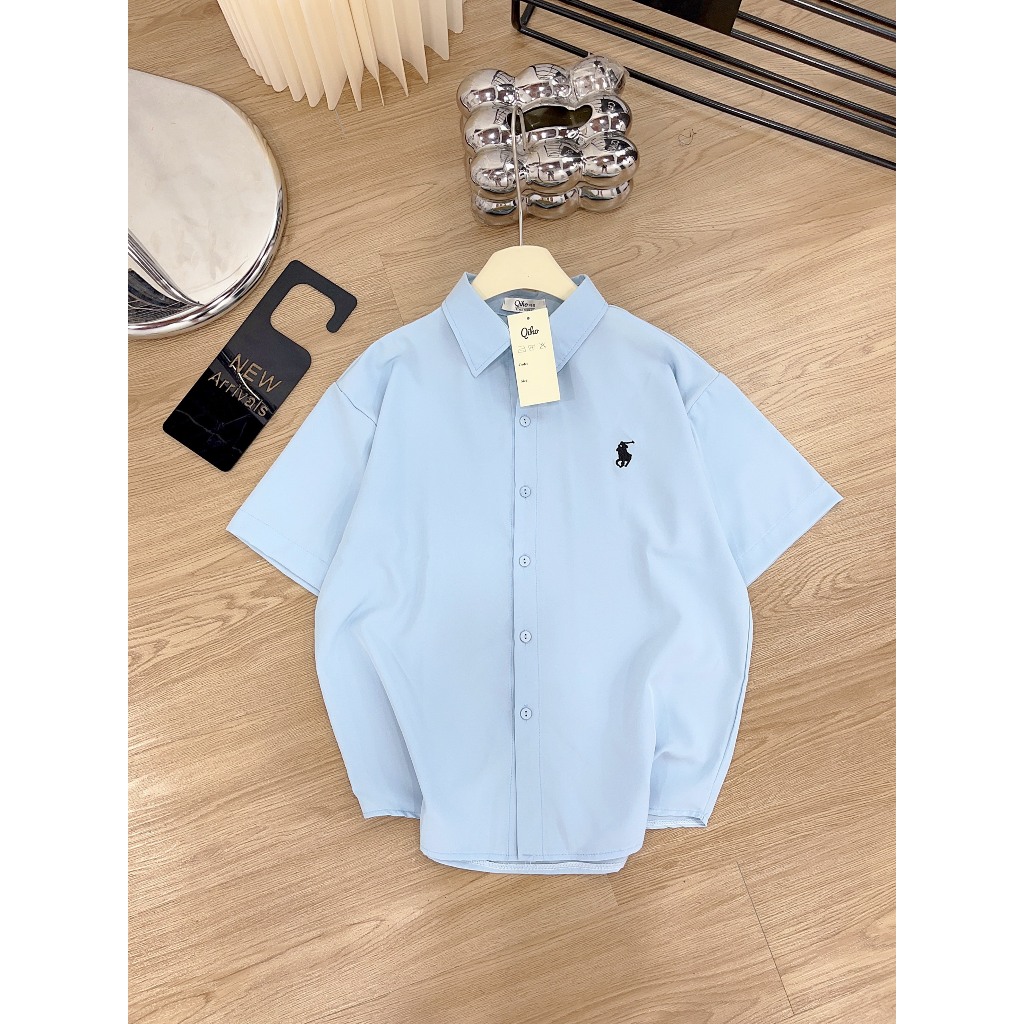 [ A06 ]  Áo sơ mi cộc tay thêu ngựa chất lụa hàn Qiho.store | BigBuy360 - bigbuy360.vn