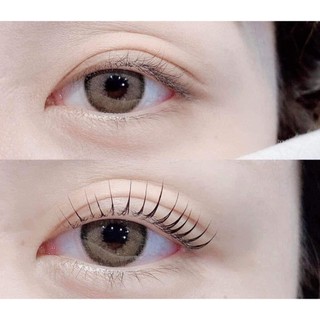 Đế Mica dán line mi có phân size độ dài mi