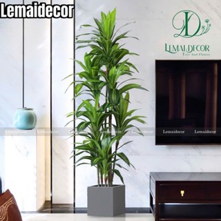 Cây thiết mộc lan 5 nhánh 150cm giả, cây giả trang trí nhà cửa, văn phòng