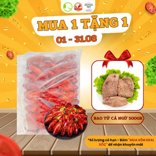 [MUA 1 TẶNG 1] Tôm Hùm Đất Crawfish Thịt Siêu Dai Ngọt Gía Tốt Size Lớn - Túi 2.5kg
